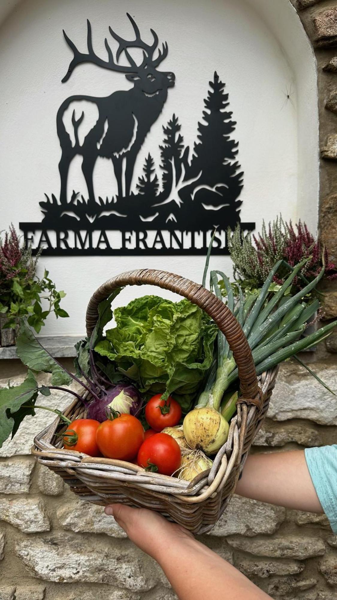 Farma Frantisek 호텔 스타치 외부 사진